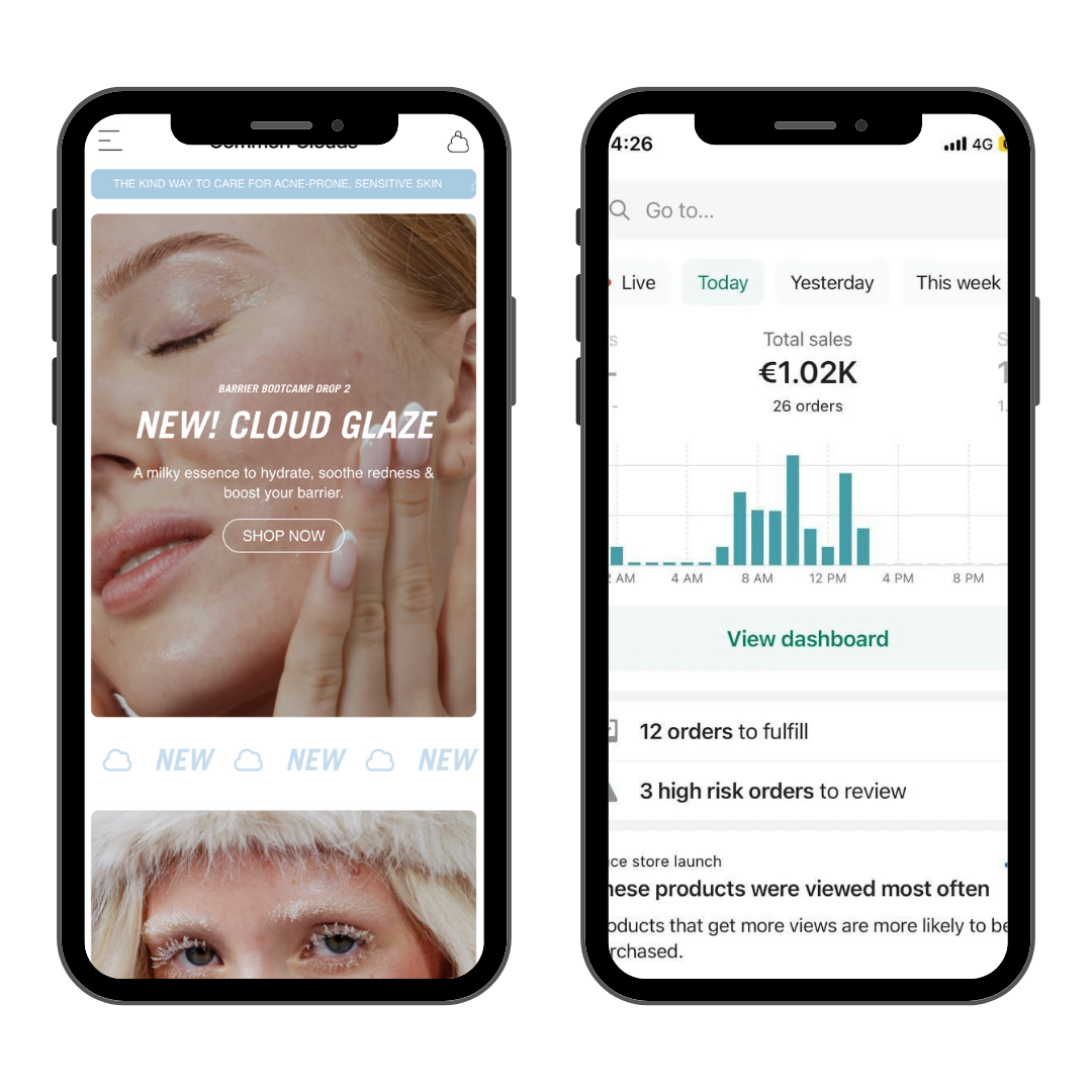 Ferdigbygd dropshipping-butikk